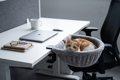 Cat Desk Bed