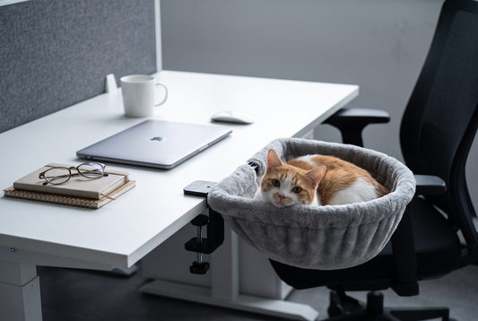 Cat Desk Bed
