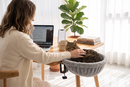 Cat Desk Bed